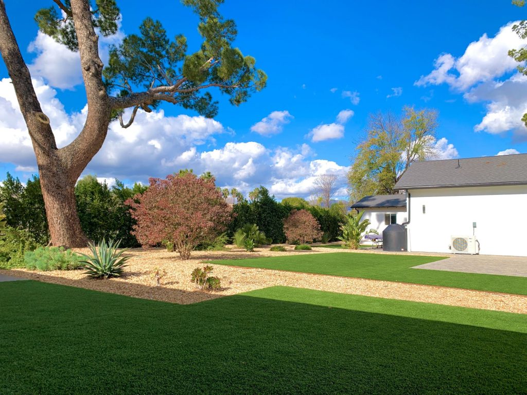 landscaping/ backyard